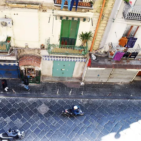 Neapolis Pie Проживание в семье *